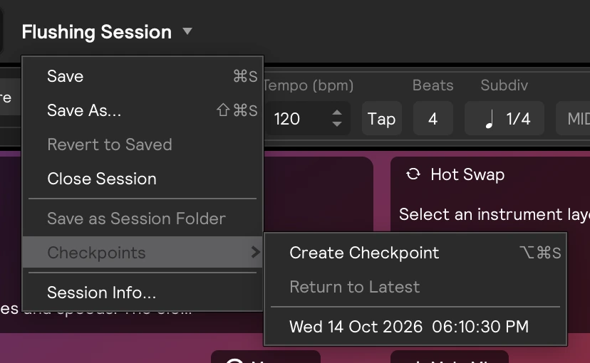The Checkpoints menu for a session in a session folder, with one checkpoint