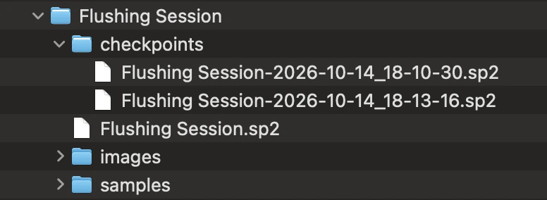 A session folder in Finder: the checkpoints, images and samples folders next to the session file