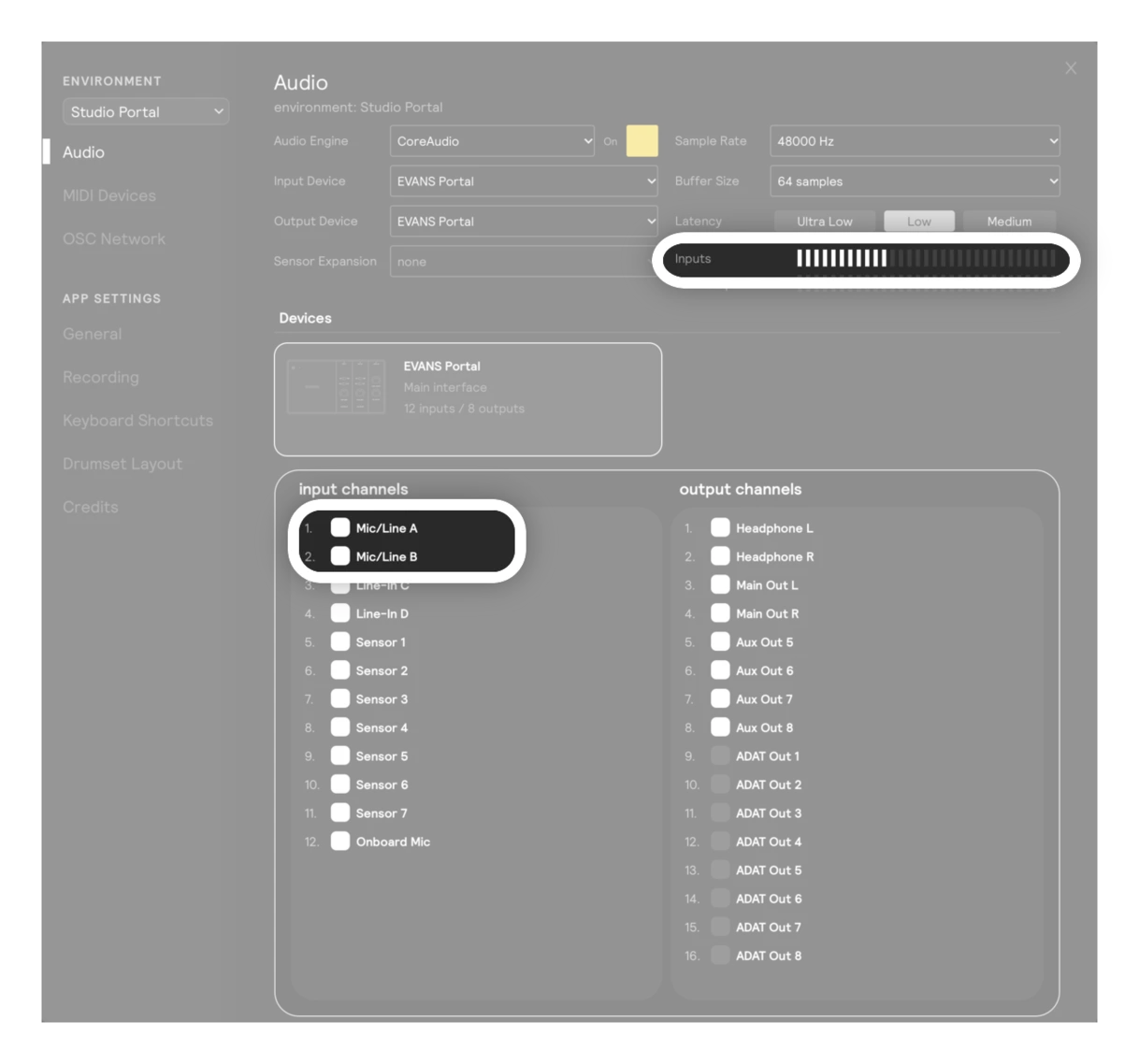 Settings → Audio with Mic/Line A and Mic/Line B turned on in the input channels list, and the Inputs meter showing a hit